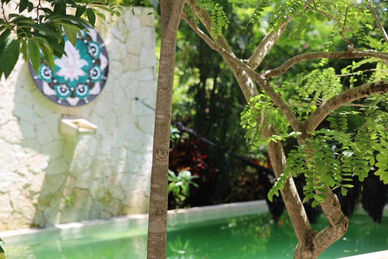 Huaya Camp Daire Playa del Carmen Dış mekan fotoğraf