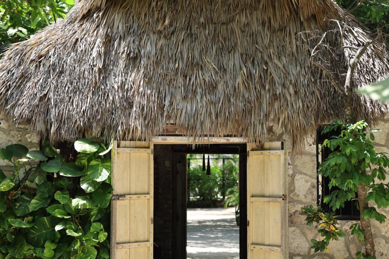Huaya Camp Daire Playa del Carmen Dış mekan fotoğraf