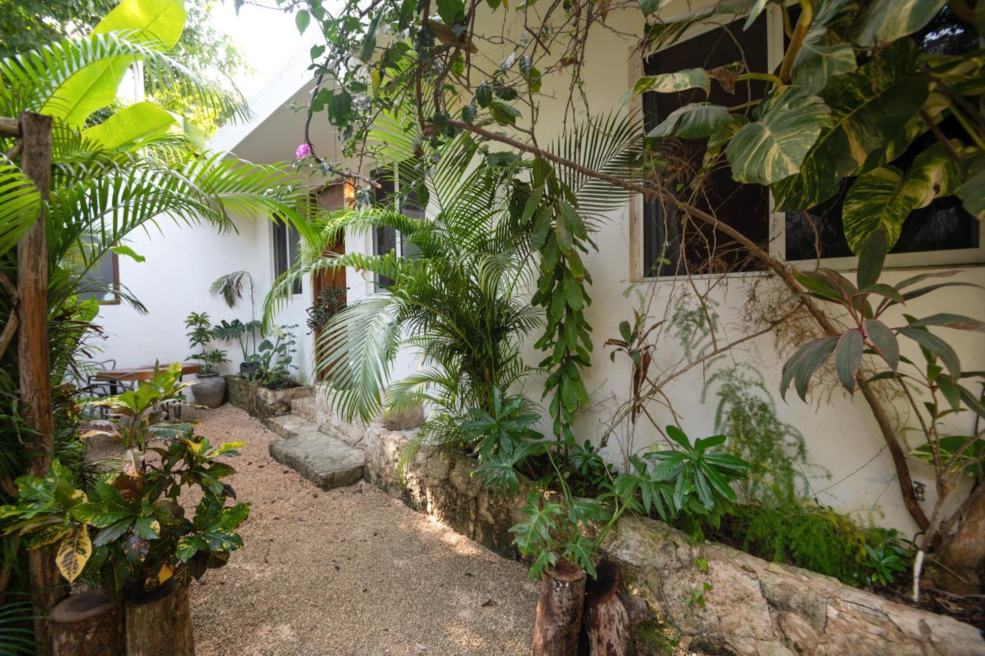 Huaya Camp Daire Playa del Carmen Dış mekan fotoğraf