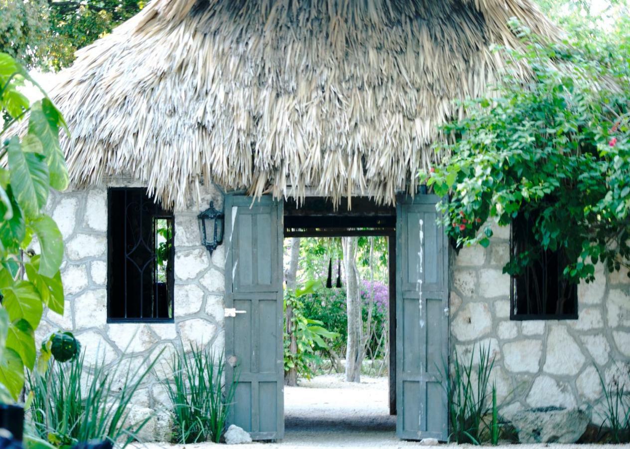 Huaya Camp Daire Playa del Carmen Dış mekan fotoğraf