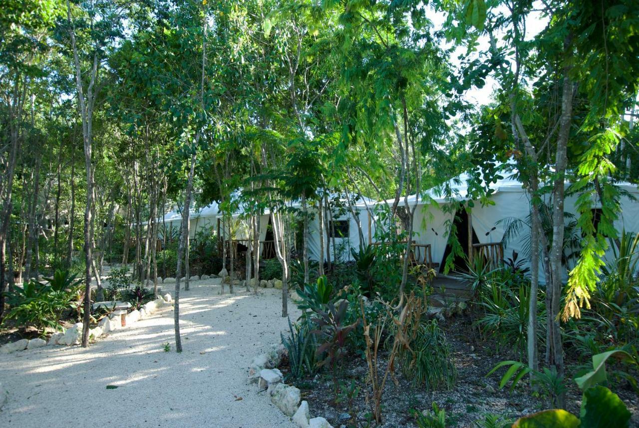 Huaya Camp Daire Playa del Carmen Dış mekan fotoğraf