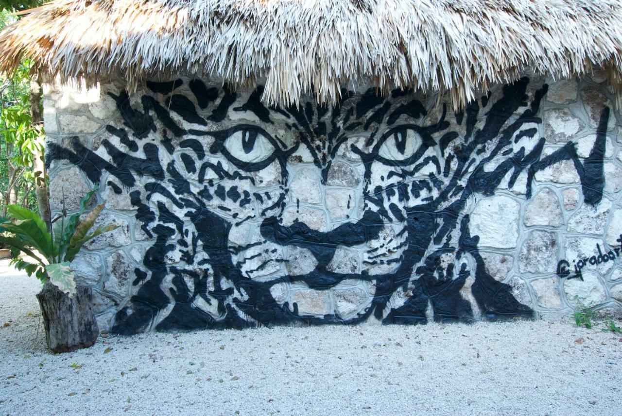 Huaya Camp Daire Playa del Carmen Dış mekan fotoğraf