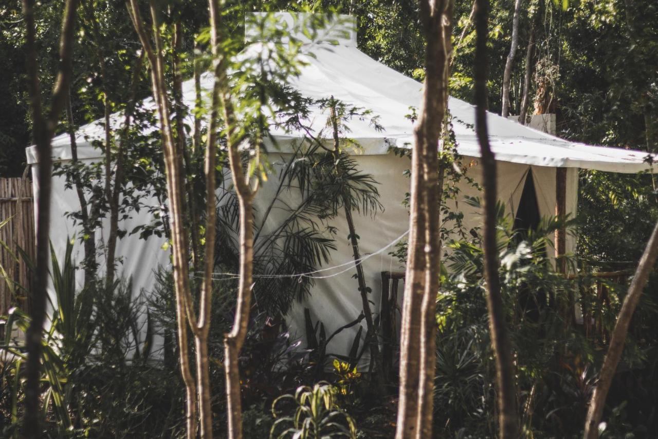 Huaya Camp Daire Playa del Carmen Dış mekan fotoğraf